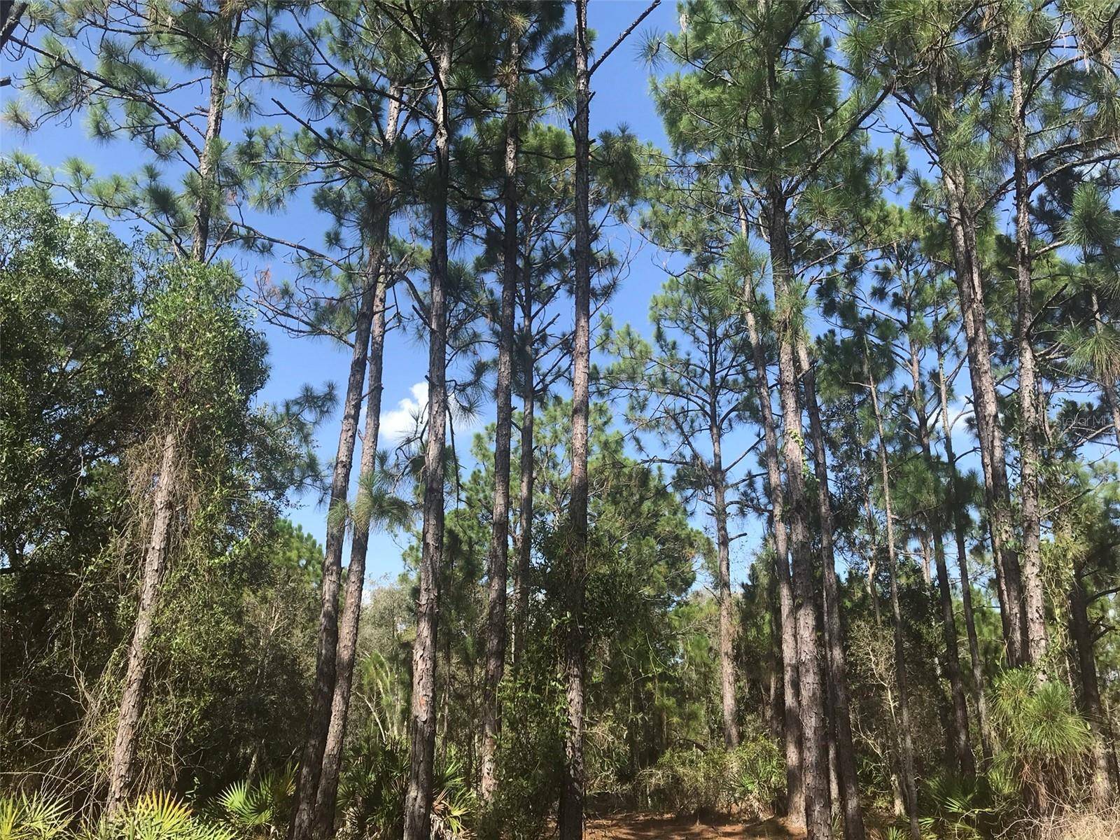 Punta Gorda, FL 33982,48091 BERMONT RD