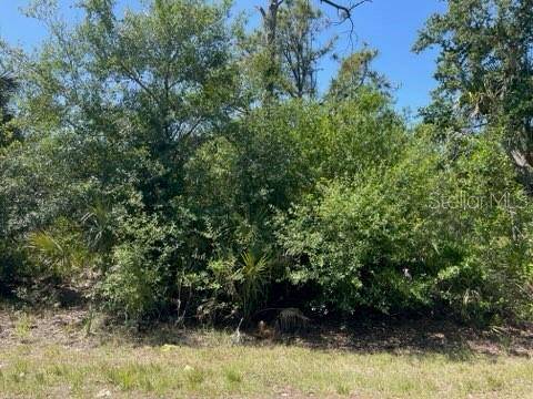 Port Charlotte, FL 33980,23477 BRANCH AVE