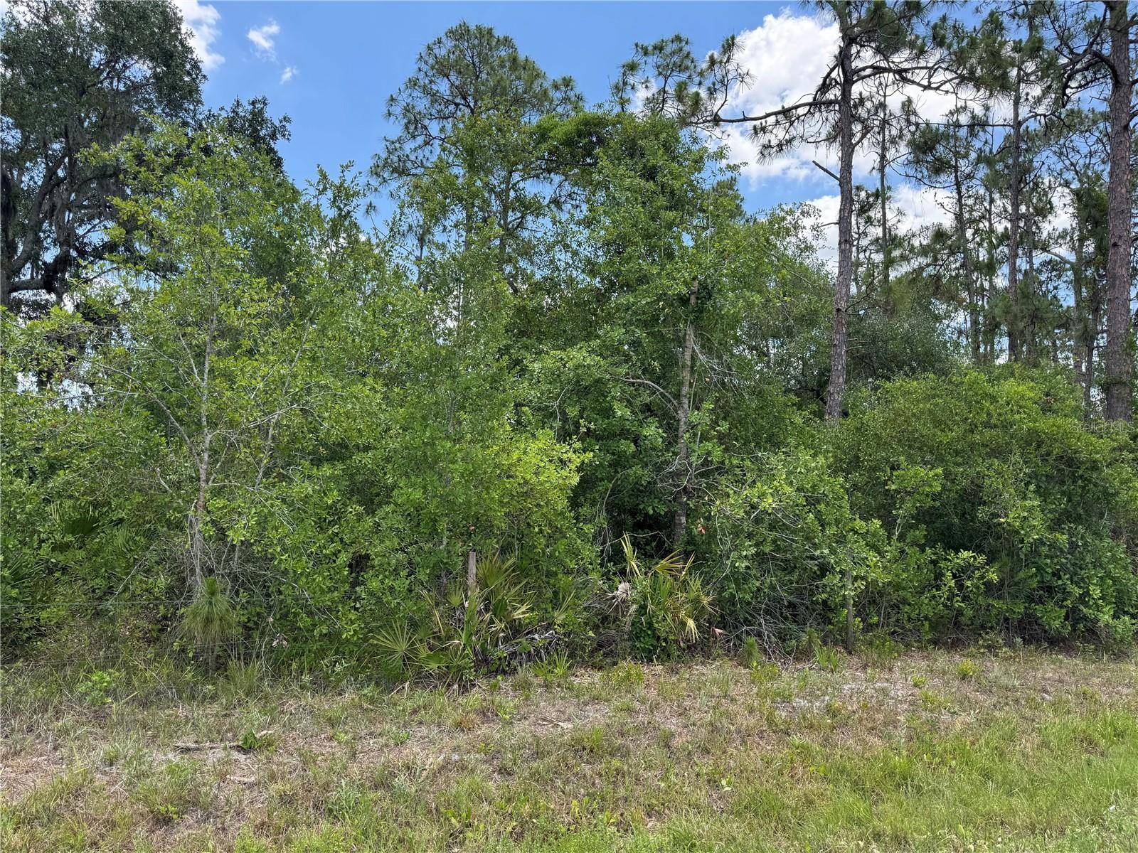Arcadia, FL 34266,SW FLORIDA RD