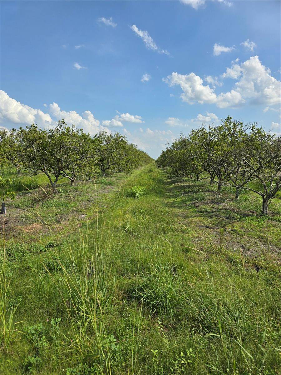 Arcadia, FL 34266,NE HIGHWAY 70