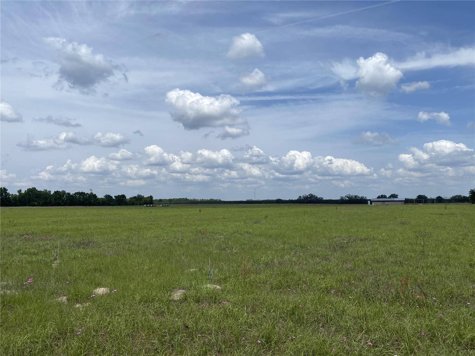 Chiefland, FL 32626,0 SR 345