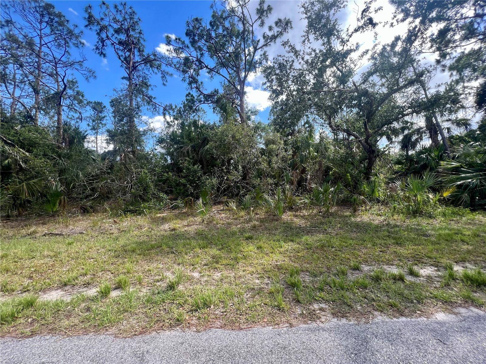 North Port, FL 34286,VIZZA LN