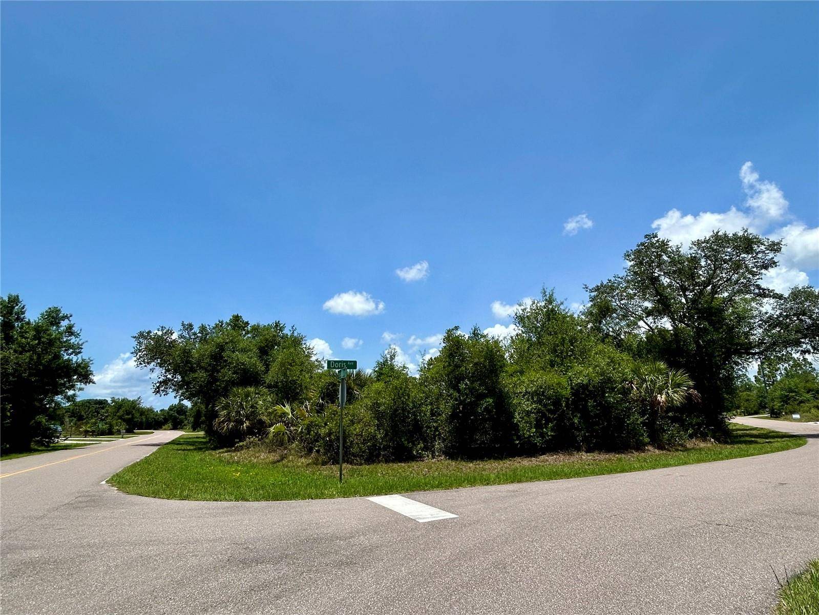 Port Charlotte, FL 33954,22135 DORIS AVE