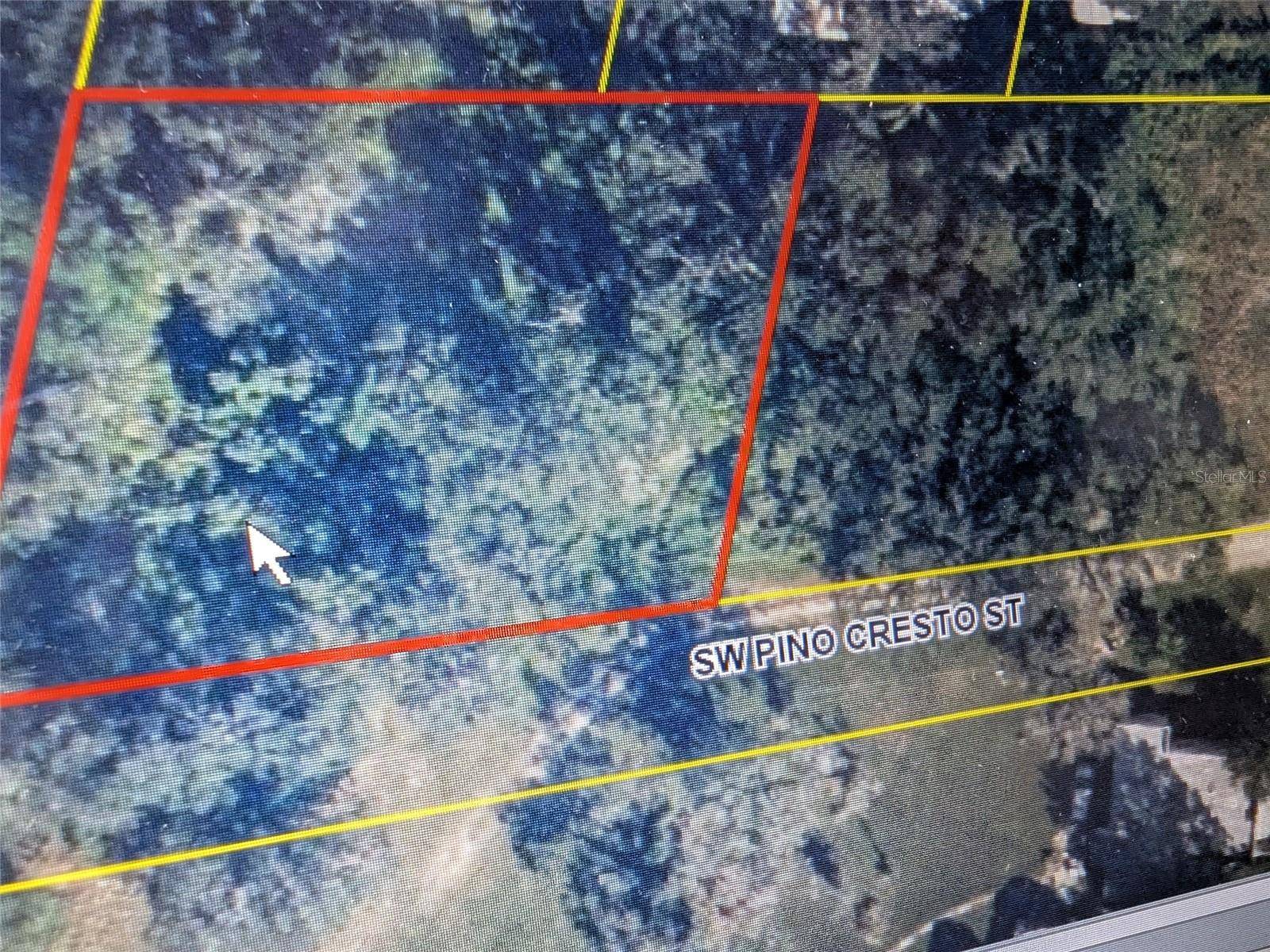 Arcadia, FL 34266,SW PINO CRESTO ST