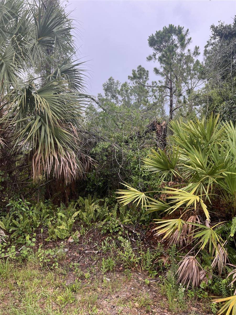 North Port, FL 34286,HORACE AVE