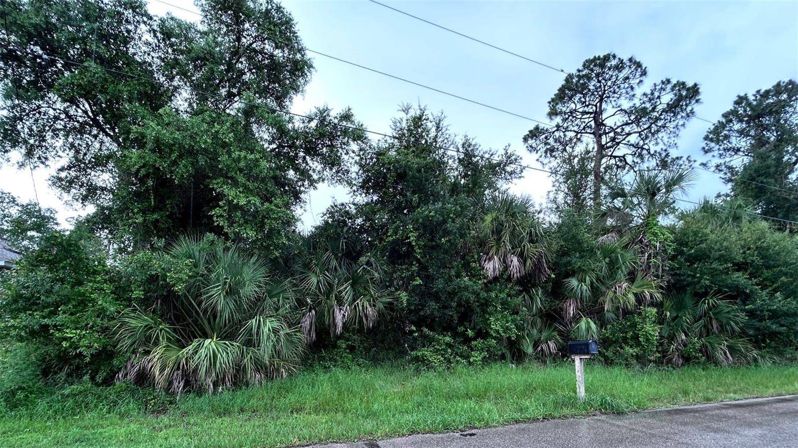 North Port, FL 34286,MONDAY TER