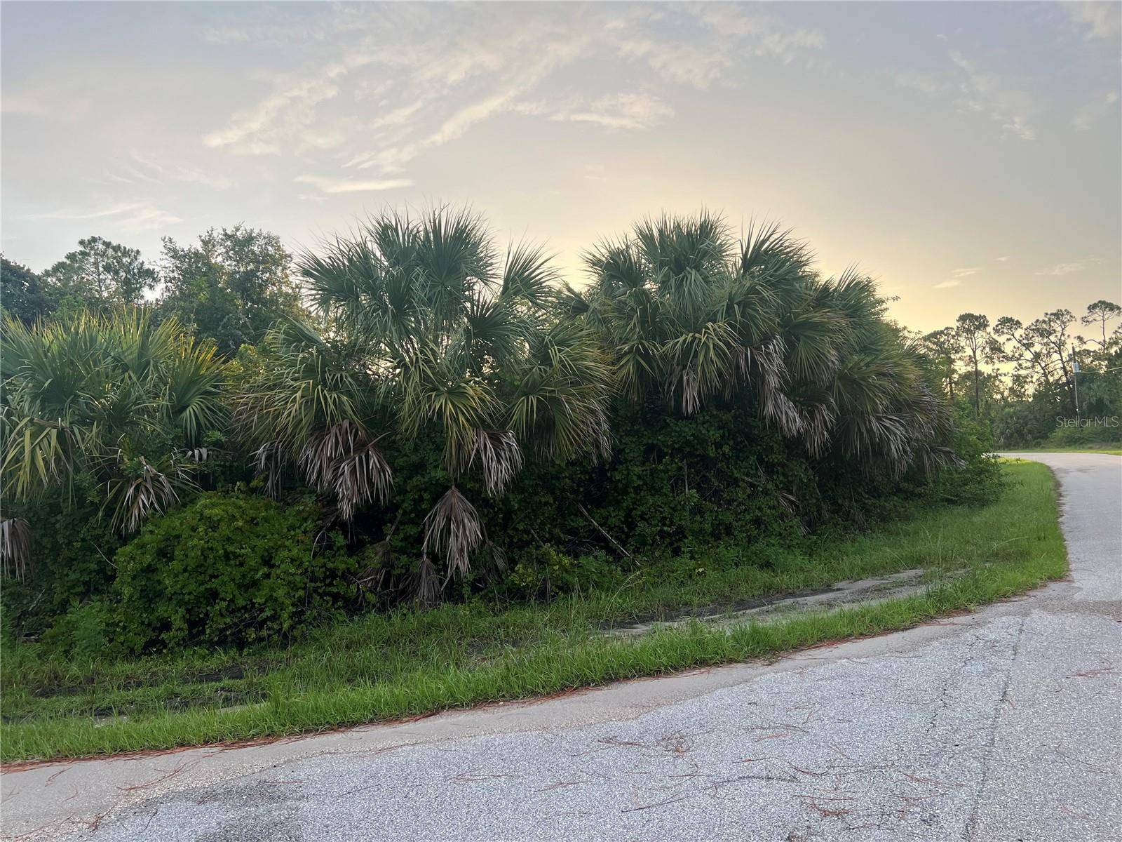 North Port, FL 34288,DALEWOOD CIR
