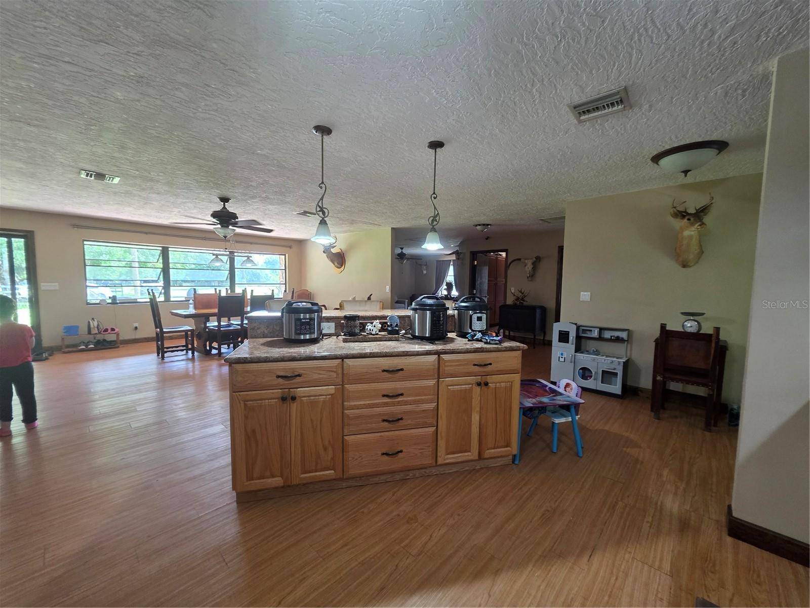 Punta Gorda, FL 33982,43631 FARABEE RD