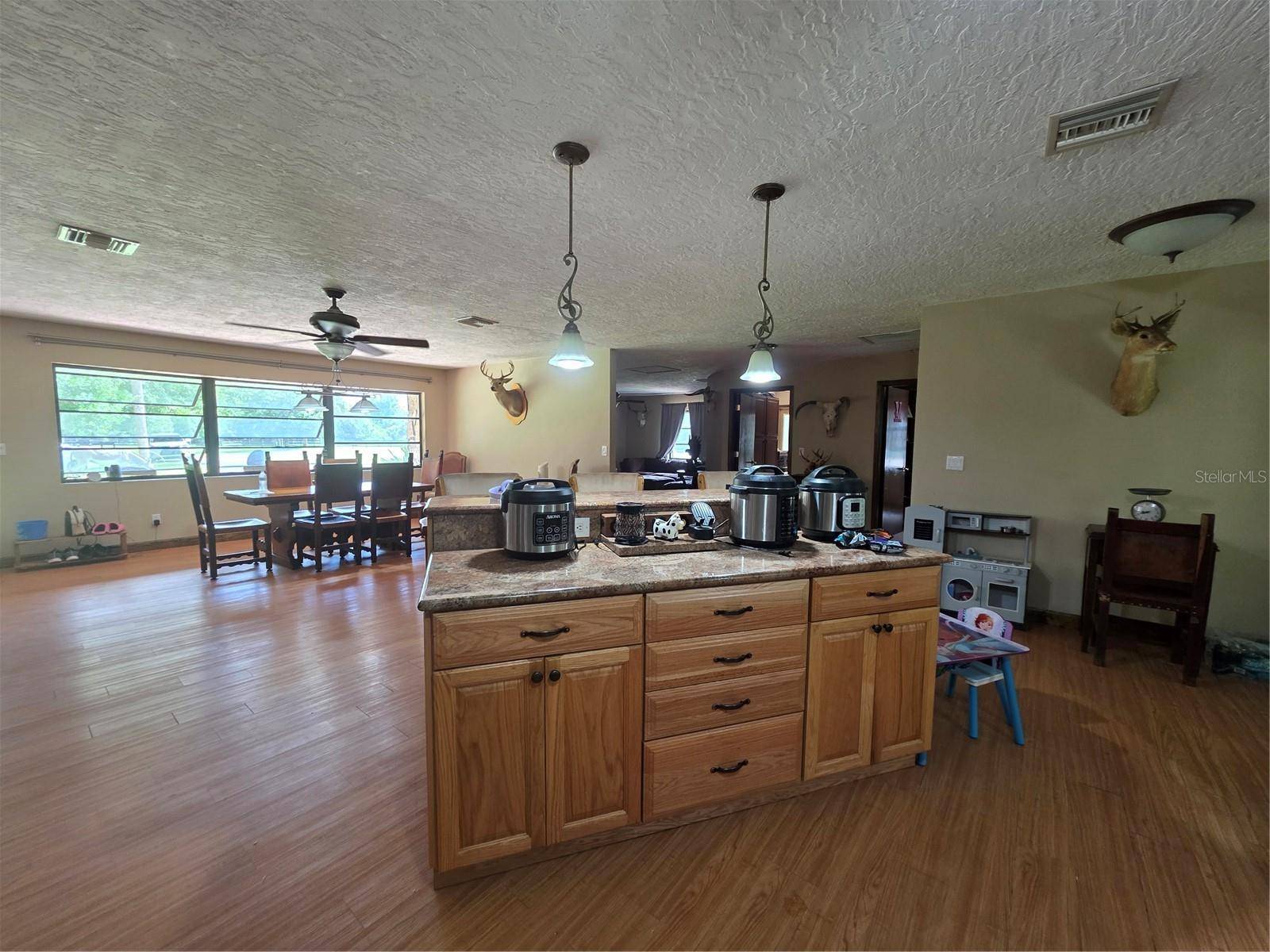 Punta Gorda, FL 33982,43631 FARABEE RD