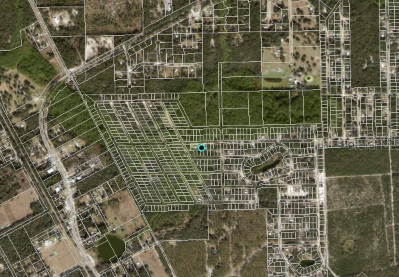Satsuma, FL 32189,711 HICKORY NUT TRL