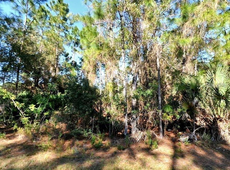 North Port, FL 34291,LARRIMORE AVE