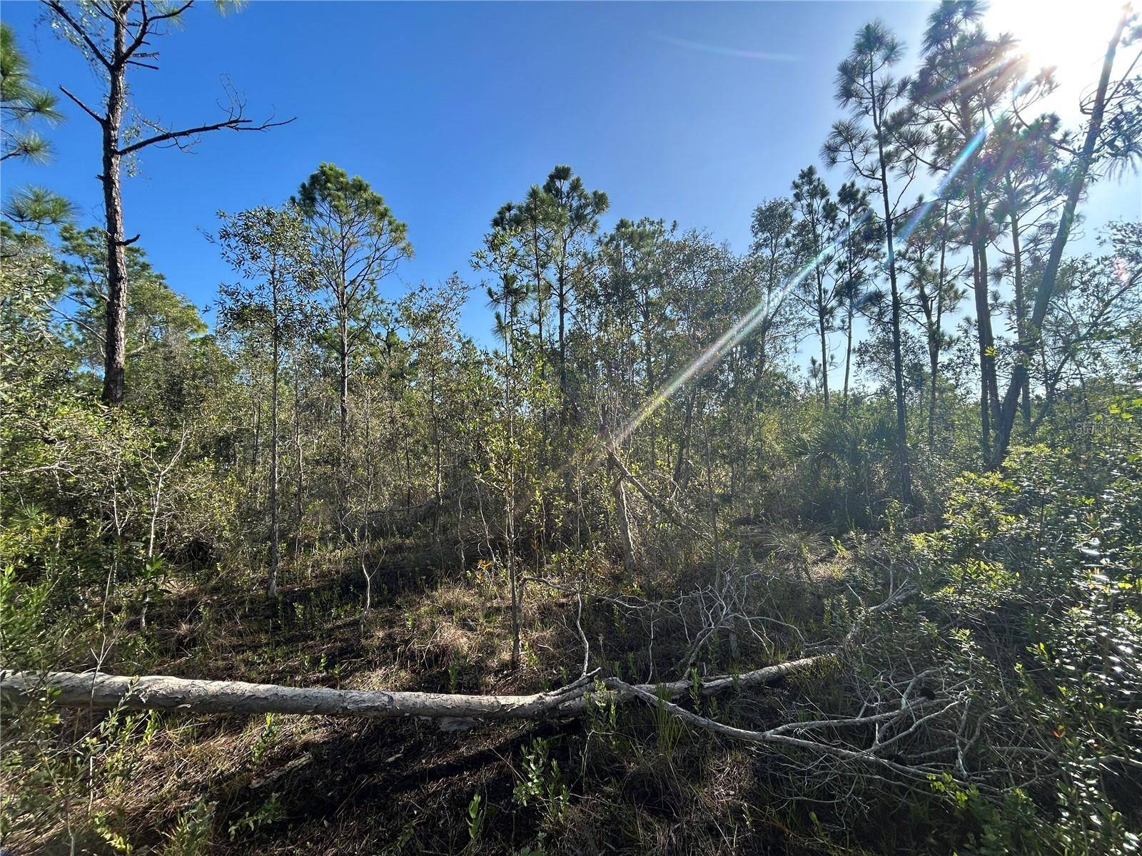 Punta Gorda, FL 33982,7041 SWEDEN BLVD