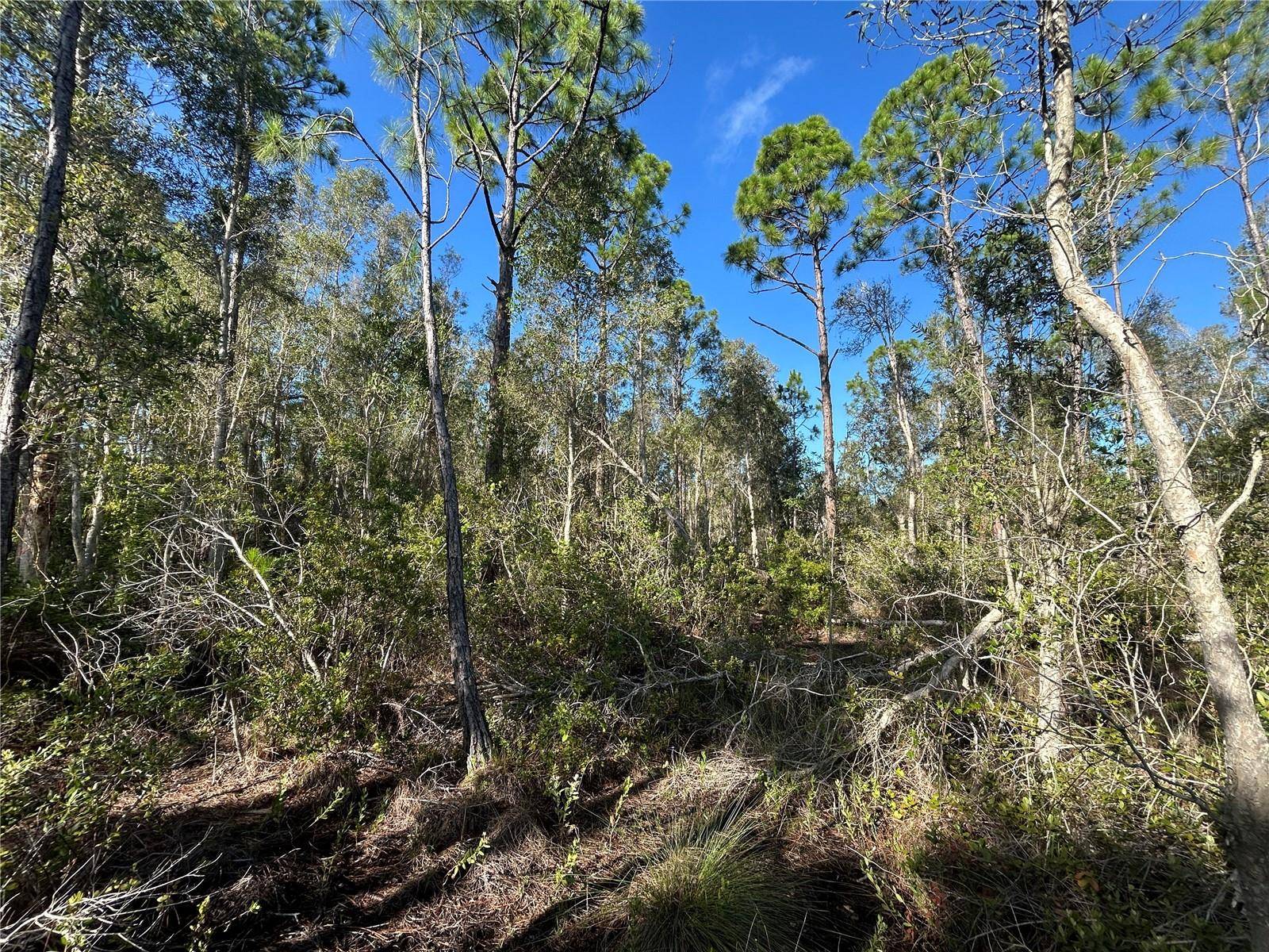 Punta Gorda, FL 33982,7041 SWEDEN BLVD