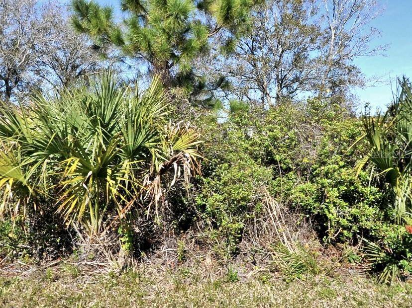 North Port, FL 34286,ANCIENT RD