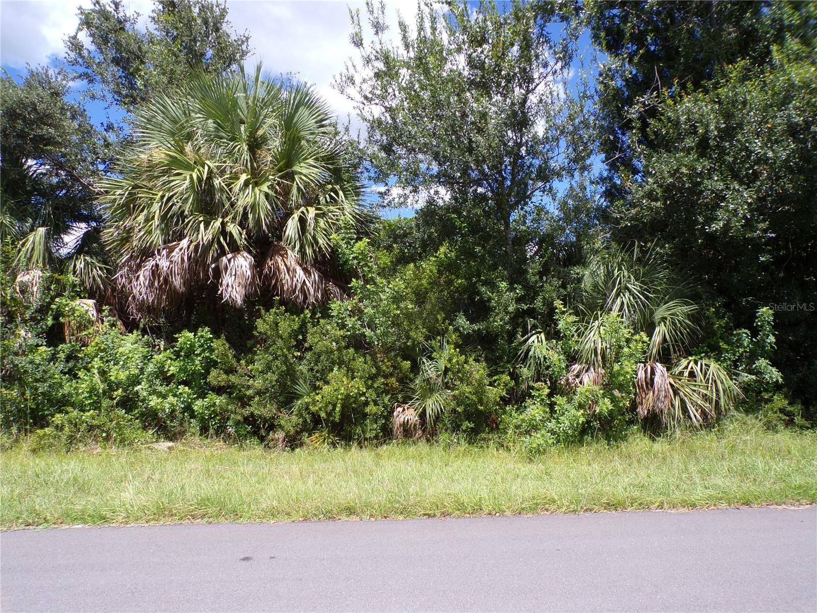 Englewood, FL 34224,11256 REINHARDT AVE