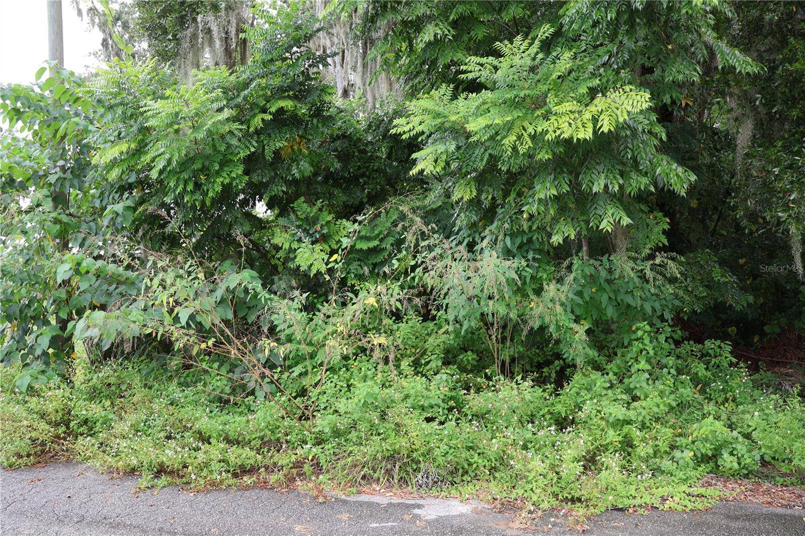 Ocala, FL 34471,3330 SE 11TH AVE