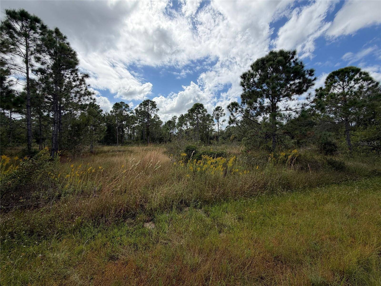 Punta Gorda, FL 33955,27409 MANDALAY DR