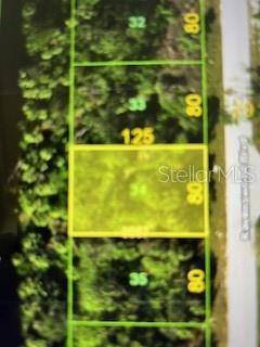 Port Charlotte, FL 33954,271 RAVENSWOOD BLVD