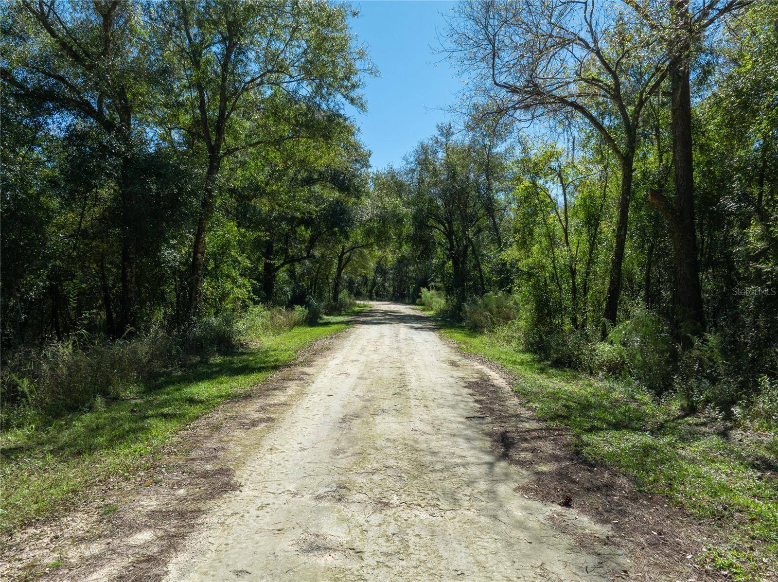 Webster, FL 33597,Lot 1 CHIPSTONE ST