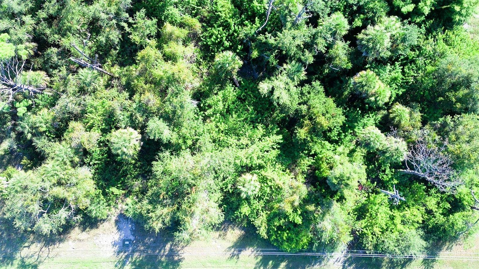 Rotonda West, FL 33947,199 COUGAR WAY