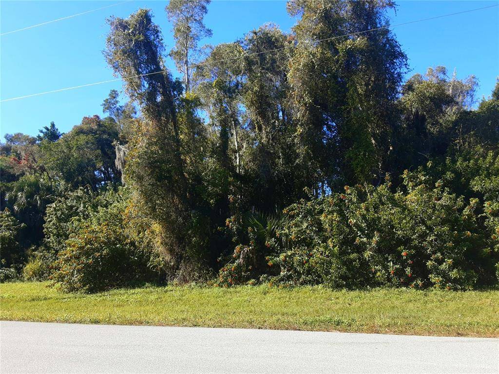 Placida, FL 33946,40 COBIA DR