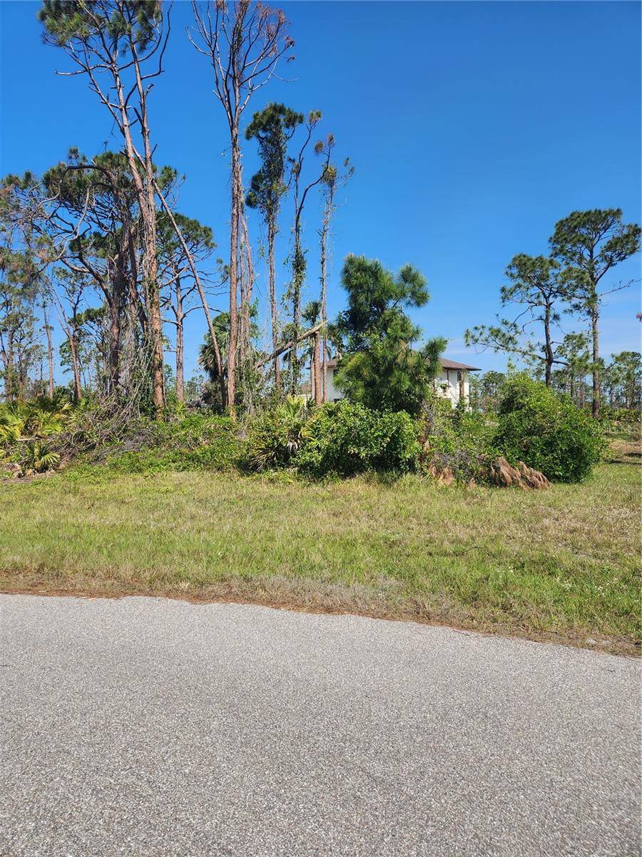 Placida, FL 33946,12 ADRIFT CT