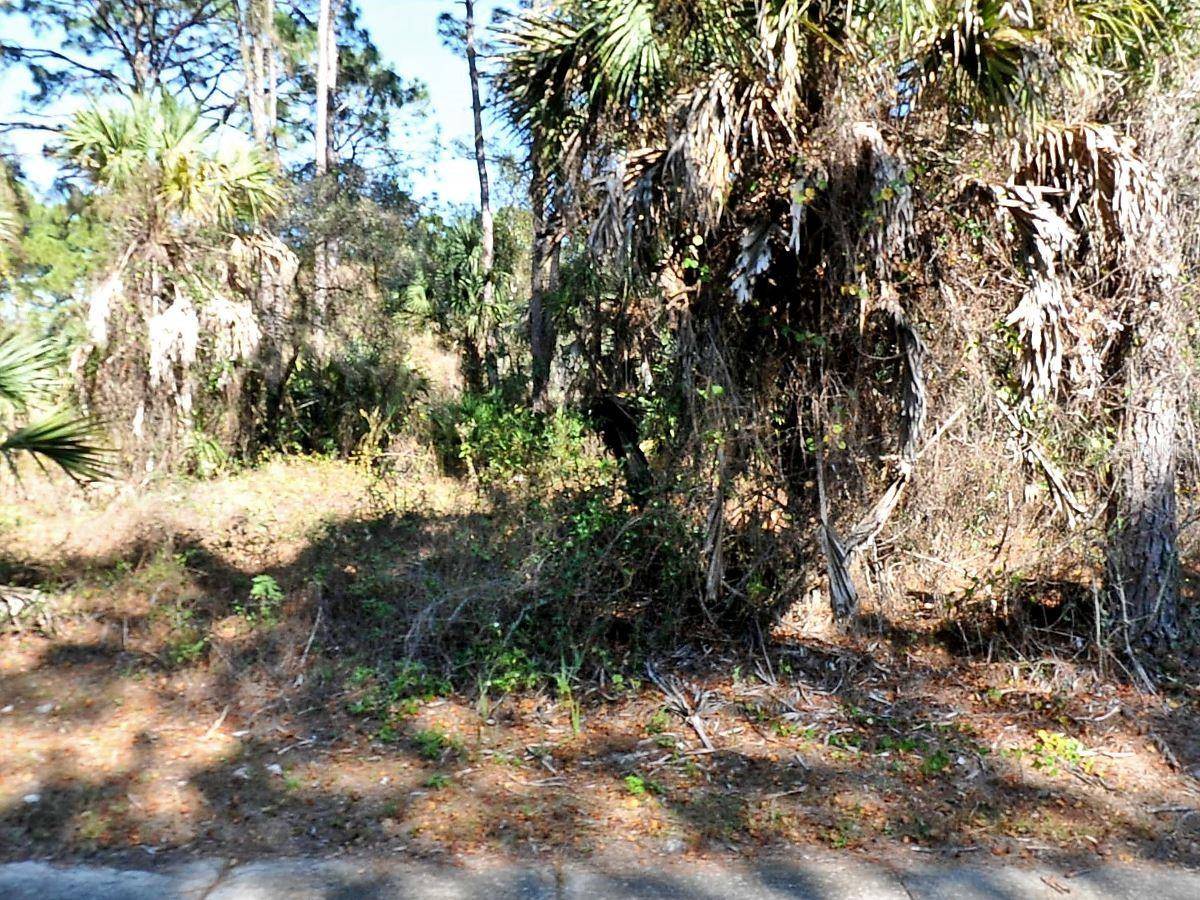 North Port, FL 34286,lot 12 CHIPLEY AVE