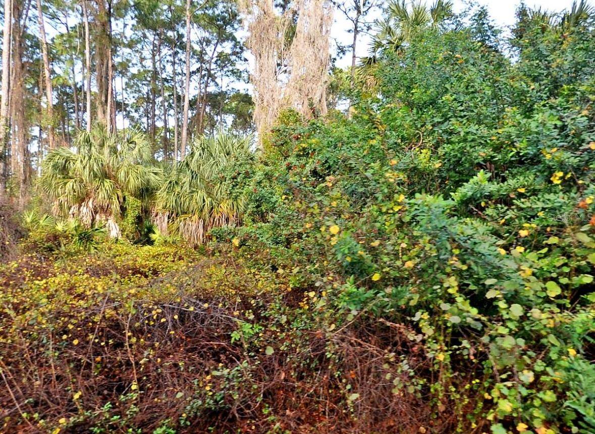 North Port, FL 34288,DAPHNE RD