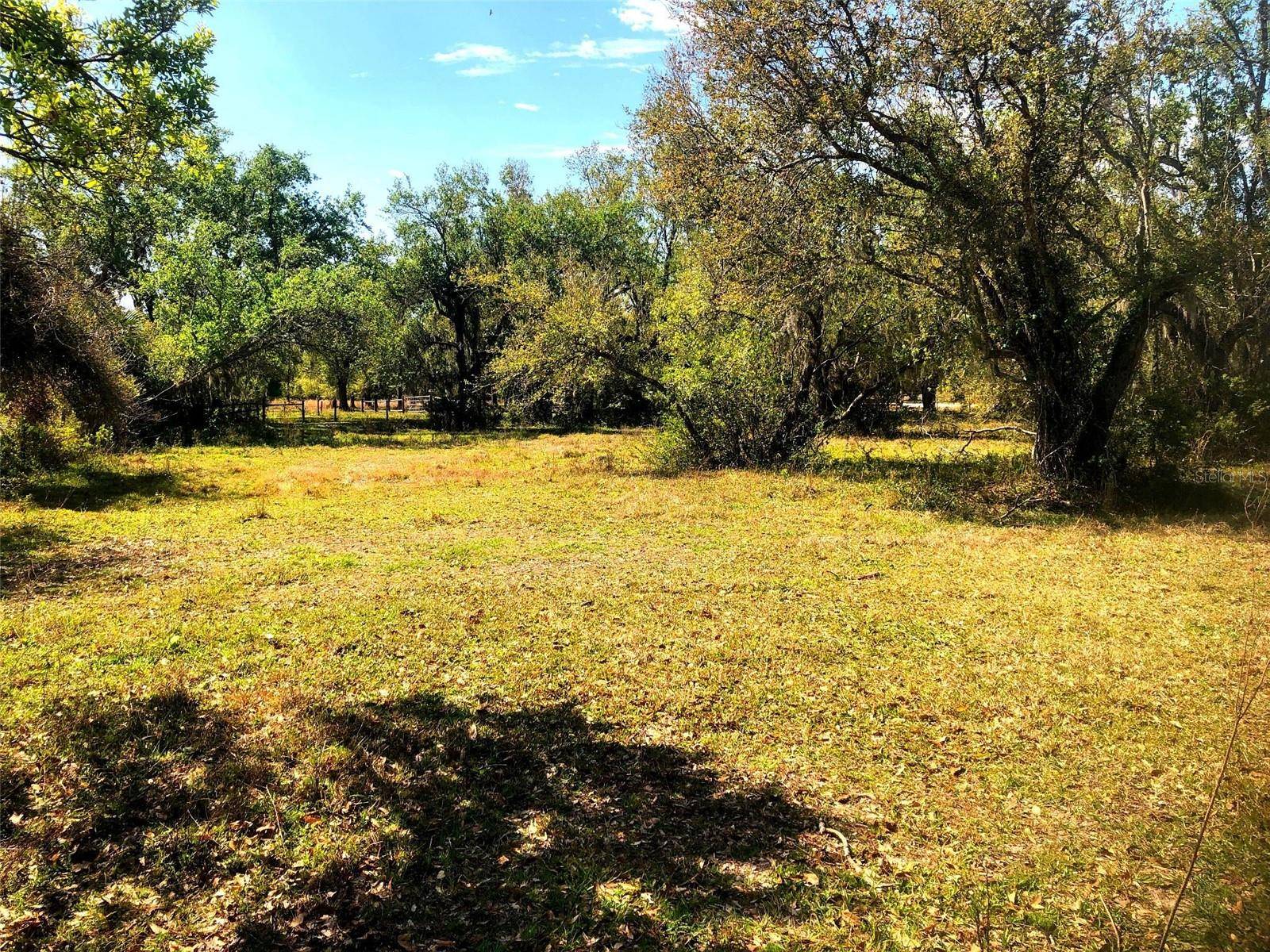 Arcadia, FL 34266,SW ADDISON AVE