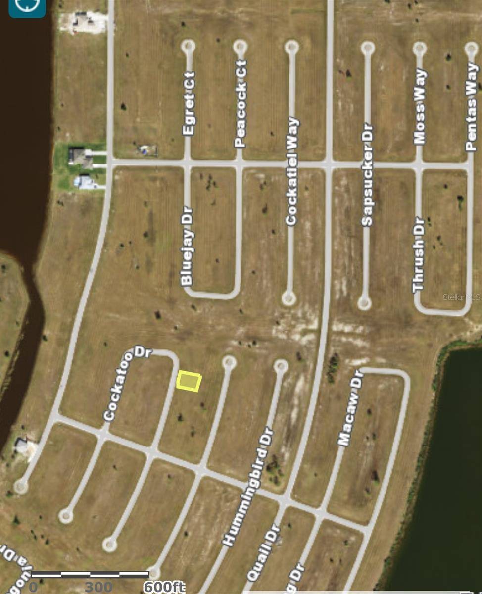 Placida, FL 33946,25 COCKATOO DR