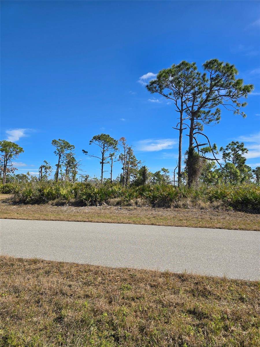 Placida, FL 33946,13 PENNANT CT