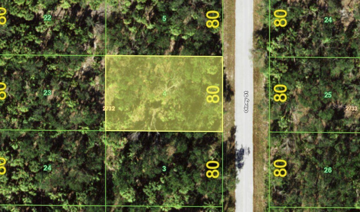 Port Charlotte, FL 33948,3143 OLNEY ST