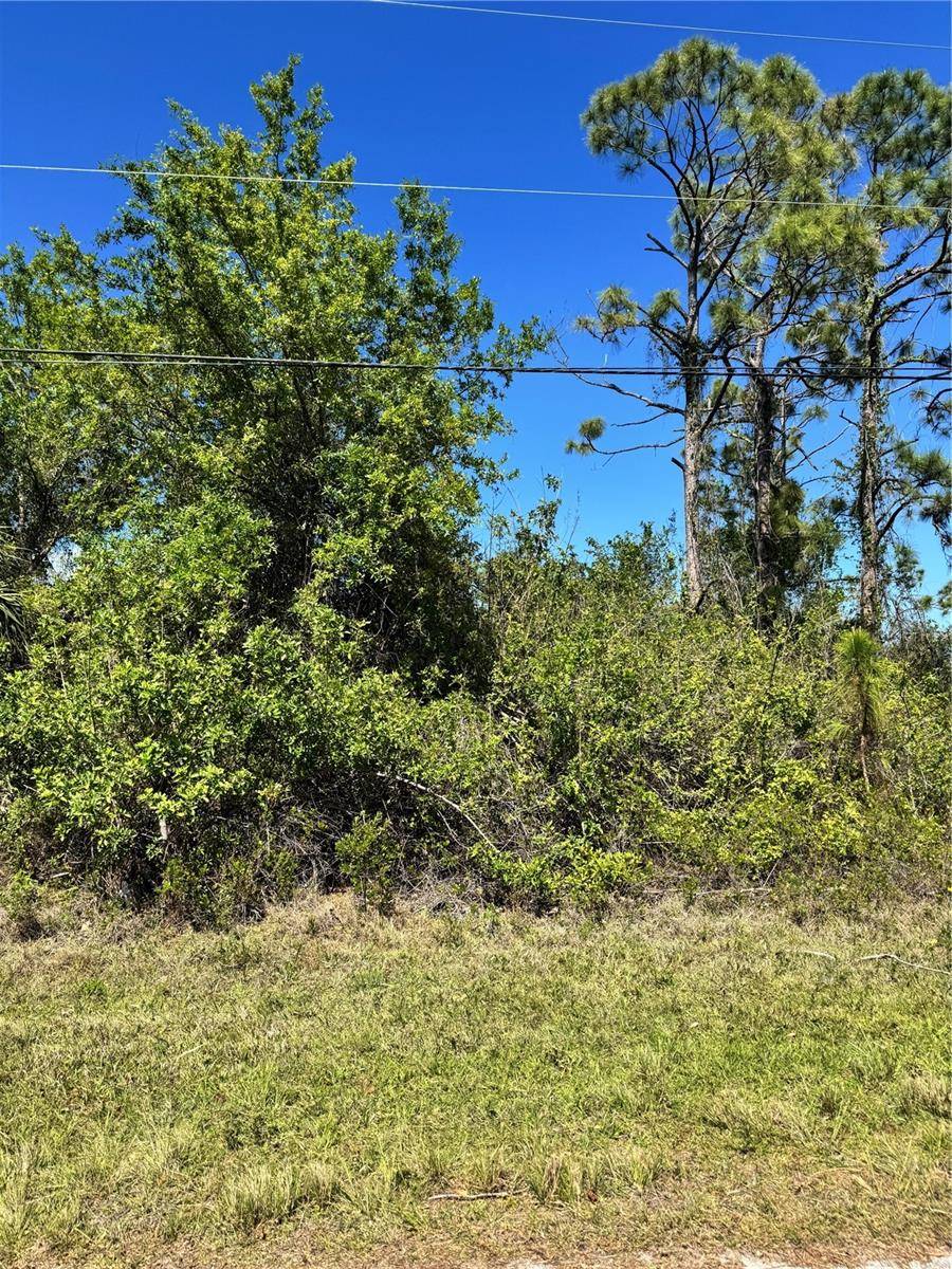 Port Charlotte, FL 33981,14400 POCONO AVE