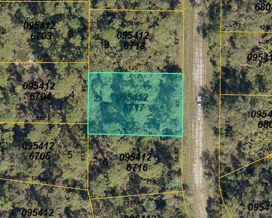 North Port, FL 34291,ALPACA ST