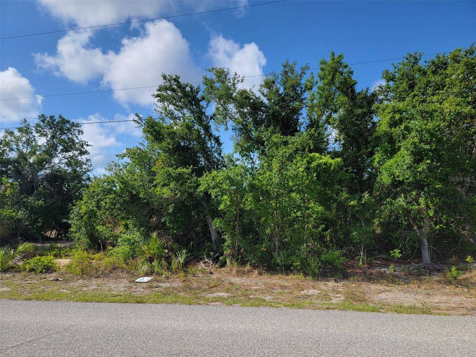 Englewood, FL 34224,10171 STONECROP AVE