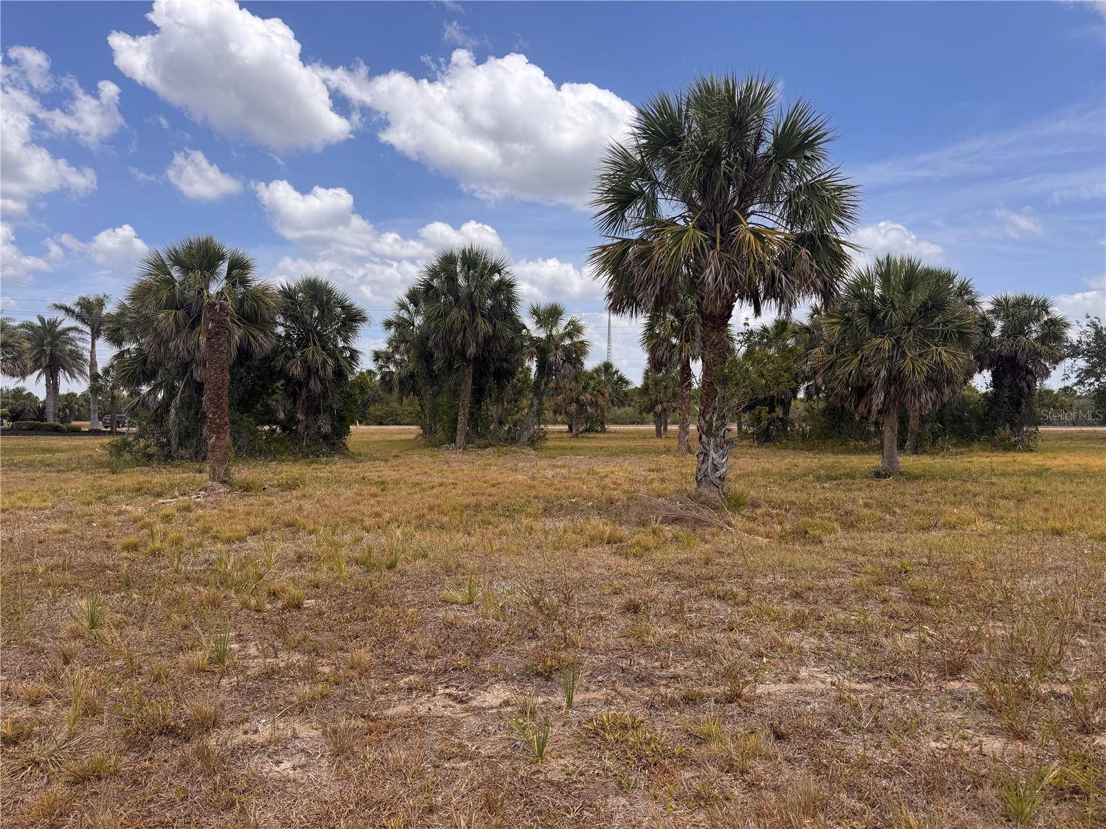 Placida, FL 33946,16 REDBUD CT