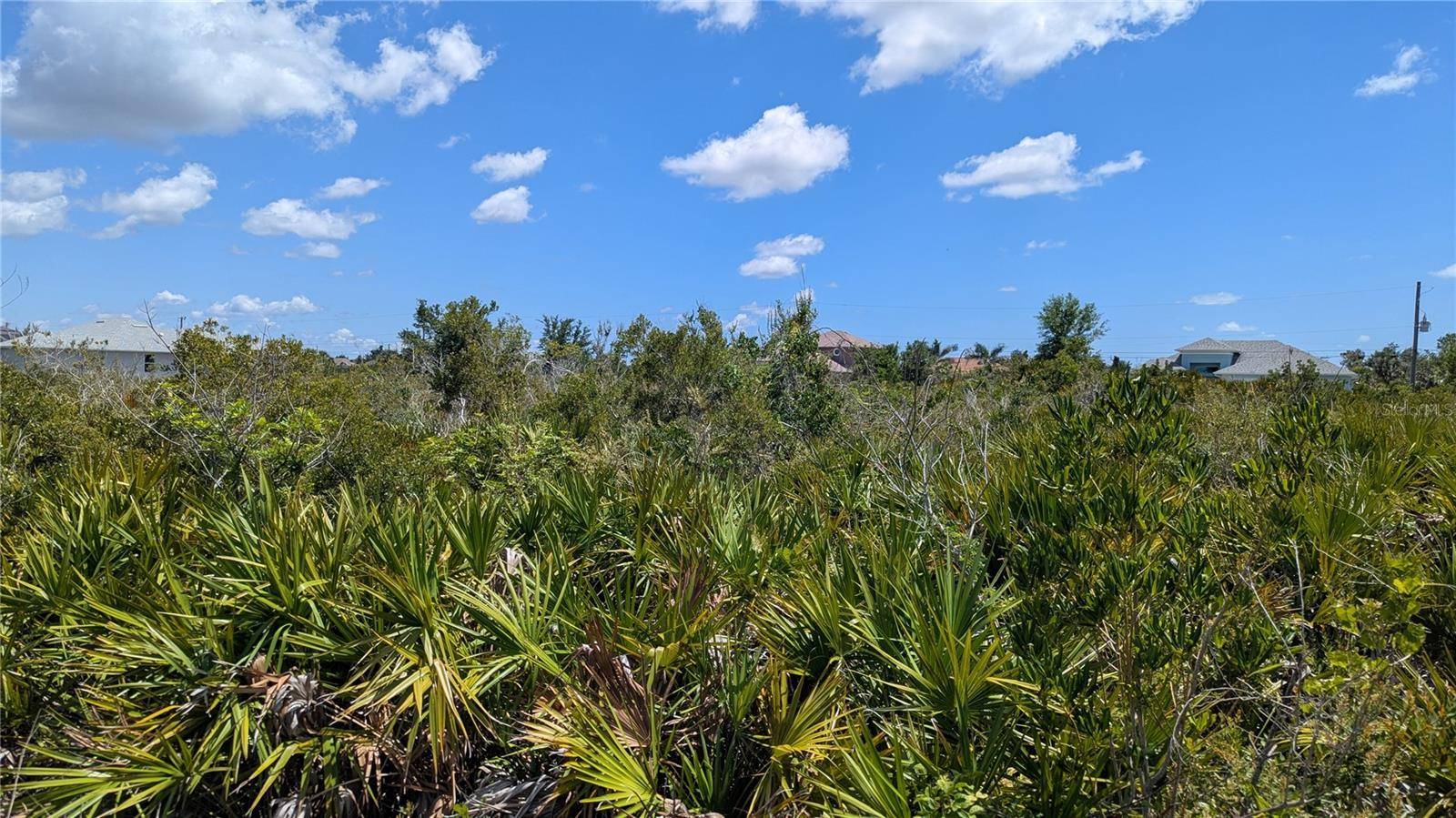 Port Charlotte, FL 33981,13485 ABUTILON LN