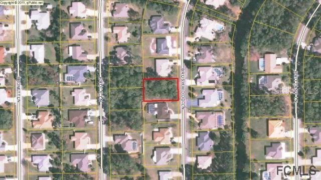 Palm Coast, FL 32164,53 BRUSHWOOD LN