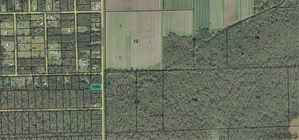 Bunnell, FL 32110,1802 County Road 305