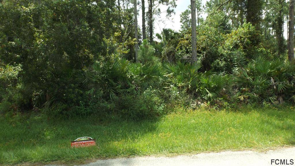 Palm Coast, FL 32164,99 SLUMBER MEADOW TRL