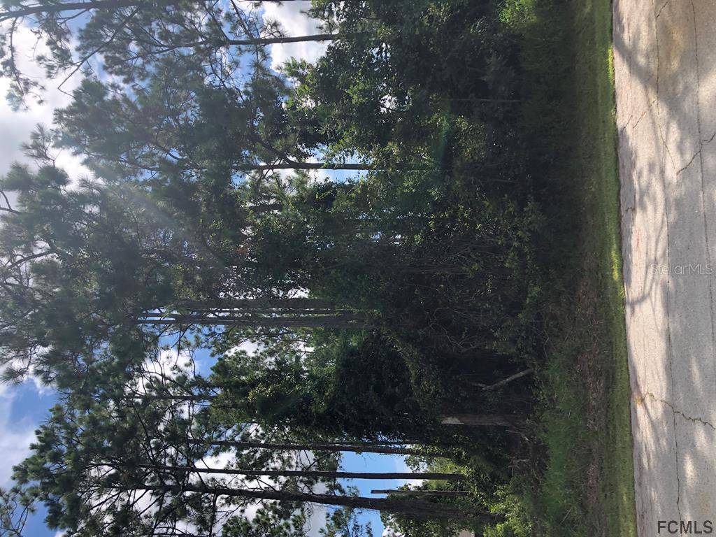 Palm Coast, FL 32164,29 LLOSHIRE PATH