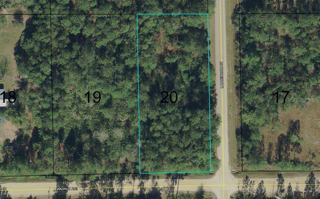 Bunnell, FL 32110,4972 WALNUT AVE