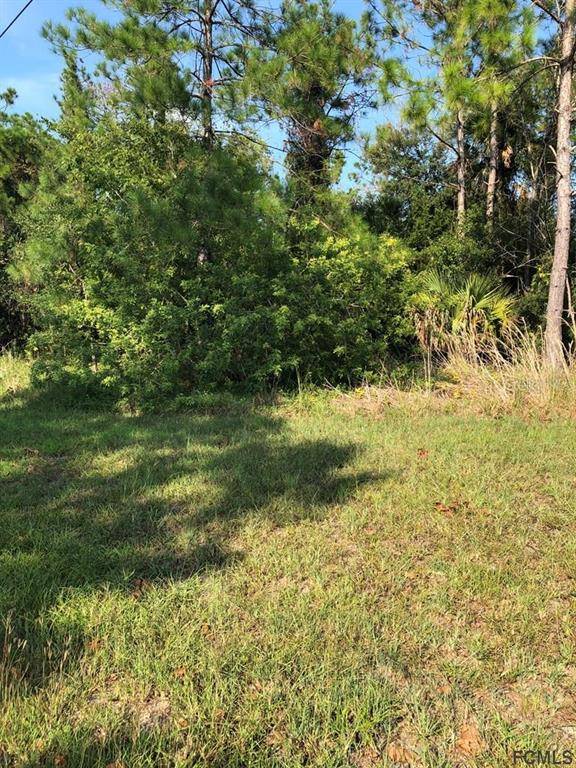 Palm Coast, FL 32164,2 SELKIRK PL