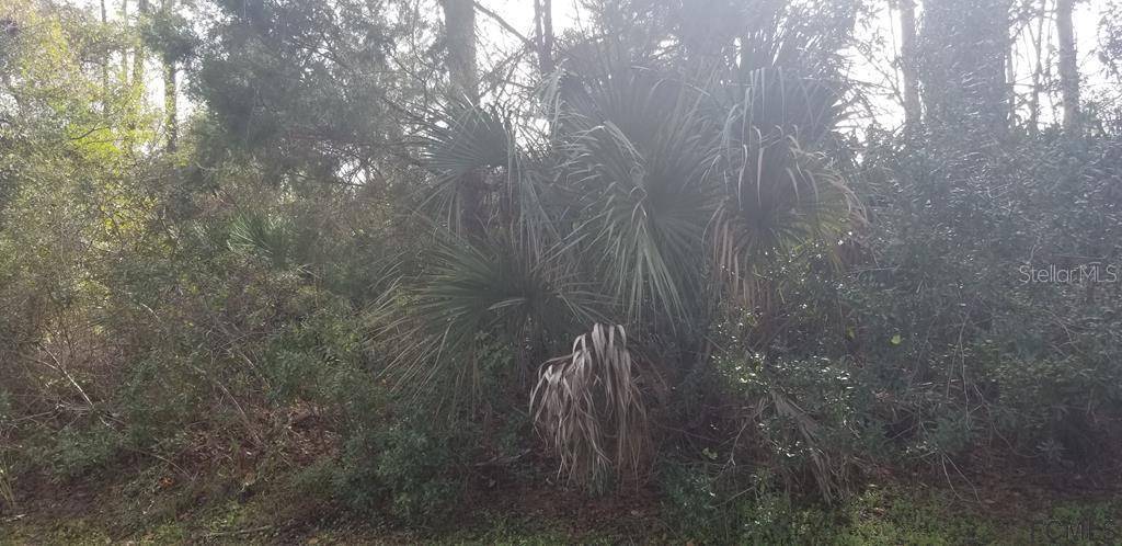 Palm Coast, FL 32164,64 RIVERINA DR
