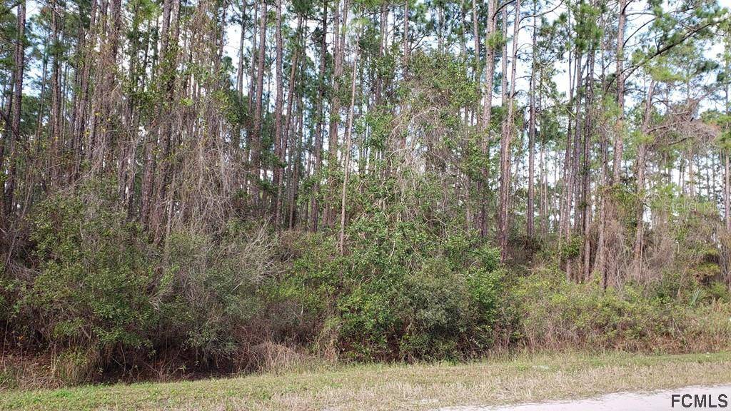 Bunnell, FL 32110,5310 LIME AVE