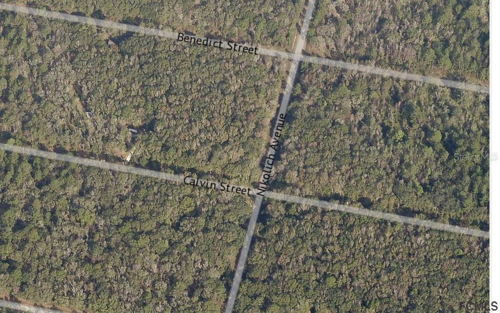 Hastings, FL 32145,4700 CALVIN ST