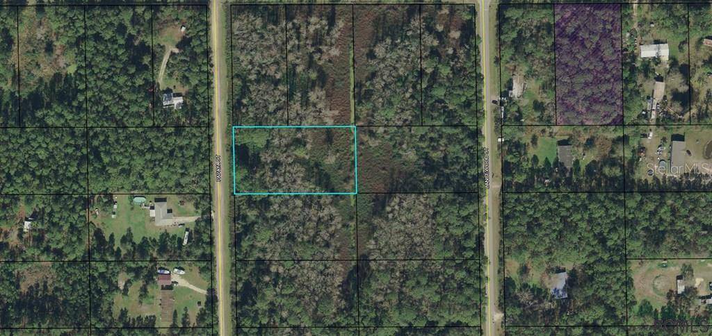 Bunnell, FL 32110,1563 PAPAYA ST