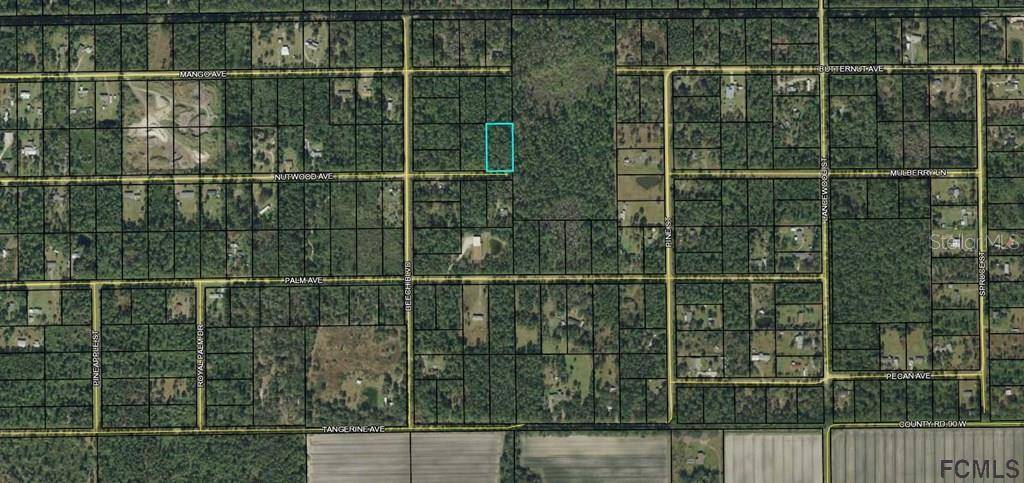 Bunnell, FL 32110,5356 NUTWOOD AVE