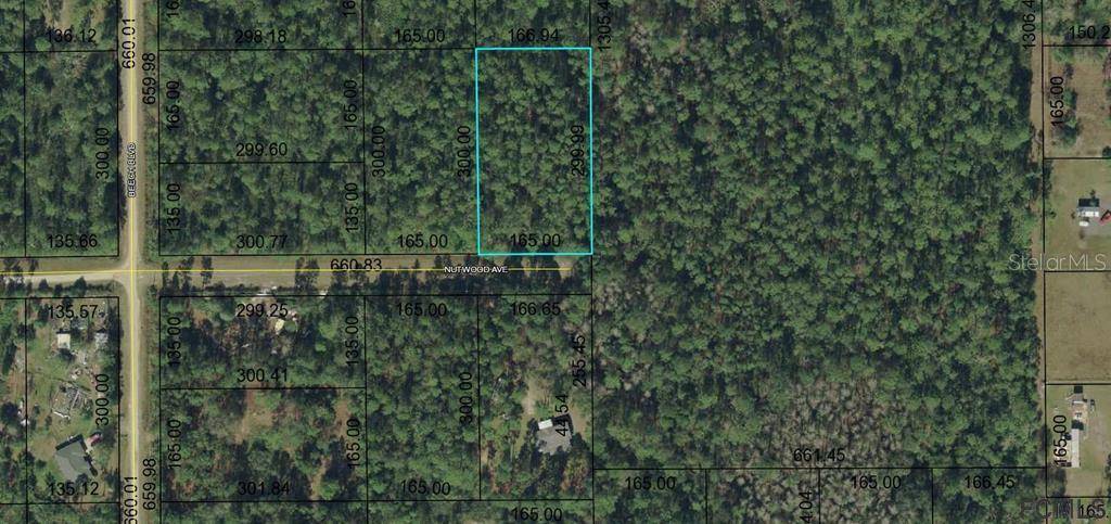 Bunnell, FL 32110,5356 NUTWOOD AVE