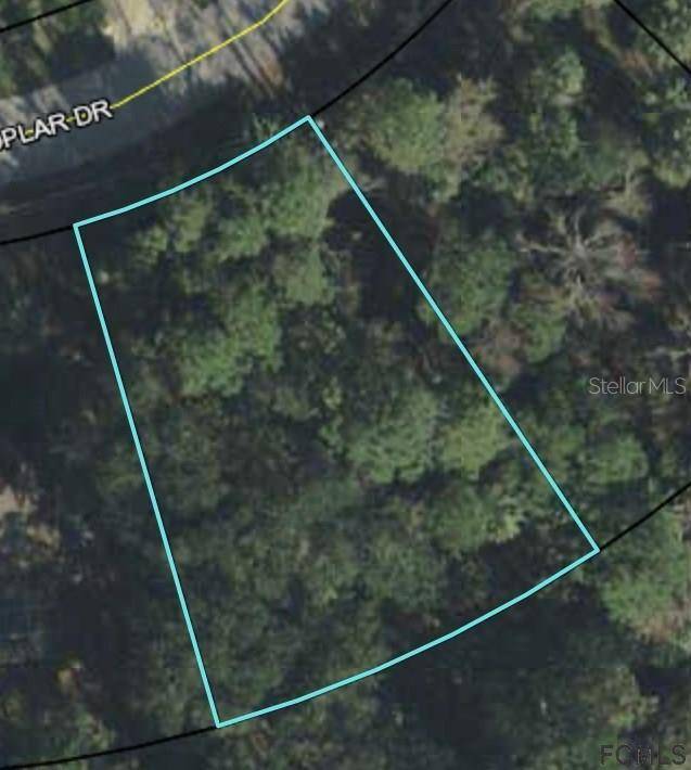 Palm Coast, FL 32164,46 POPLAR DR